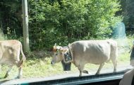 Unterwegs zur Aelggialp